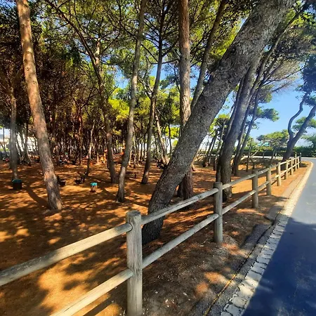 Alba Rosa 3 - Myho Casa アパート