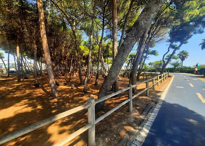 Alba Rosa 3 - Myho Casa Appartement